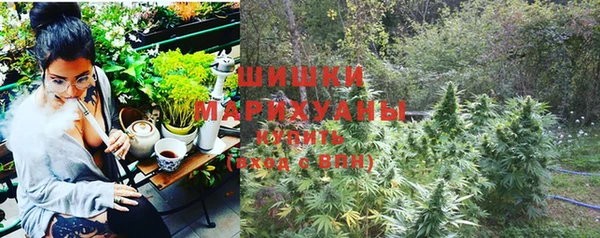 стаф Арсеньев